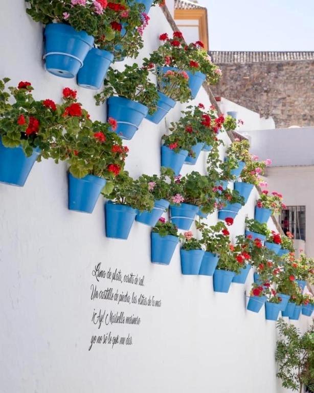 شقة Jardines Del Mar ,Casa Apolonia ماربيا المظهر الخارجي الصورة